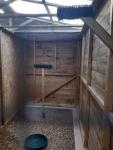 Breeding Aviary for our Tropical Screech  owls