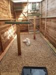 Our breeding Pens for our Kestrels