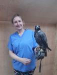 Sarah Pellett our Avian vet with Onyx,    ;Byre Vets;